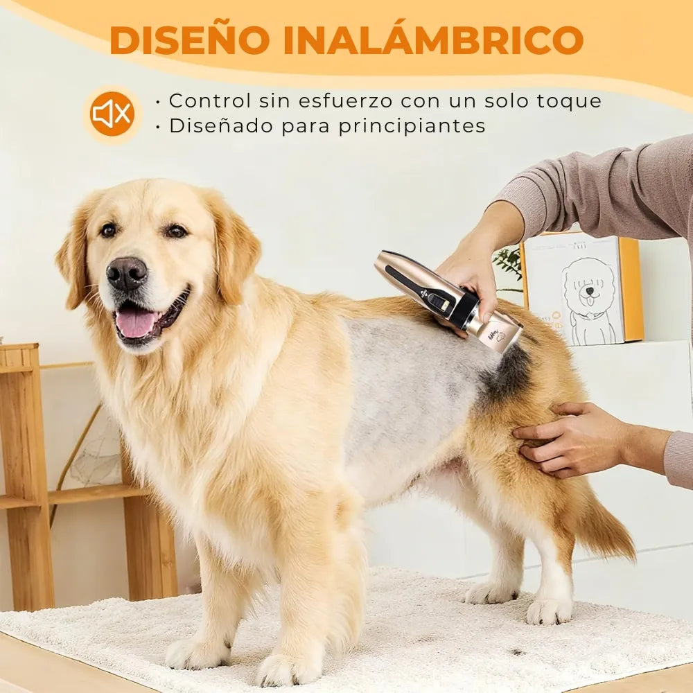 ABEJON PARA MASCOTAS