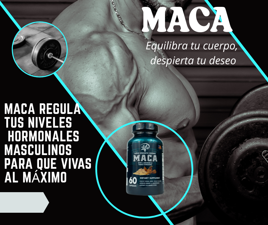 MACA