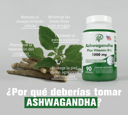 ASHAWAGANDA (BODEGA(GINSENG INDIO) + B12 X 90 CAPSULAS