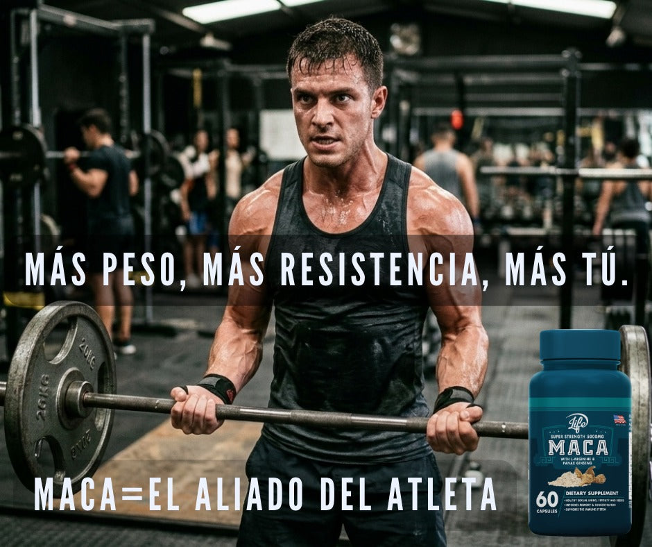 MACA
