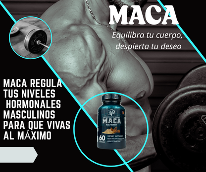 MACA