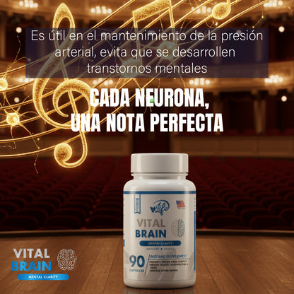 VITAL BRAIN ( VITAMINA PARA EL CEREBRO, ENFOQUE, CONCENTRACIÓN Y MEMORIA)
