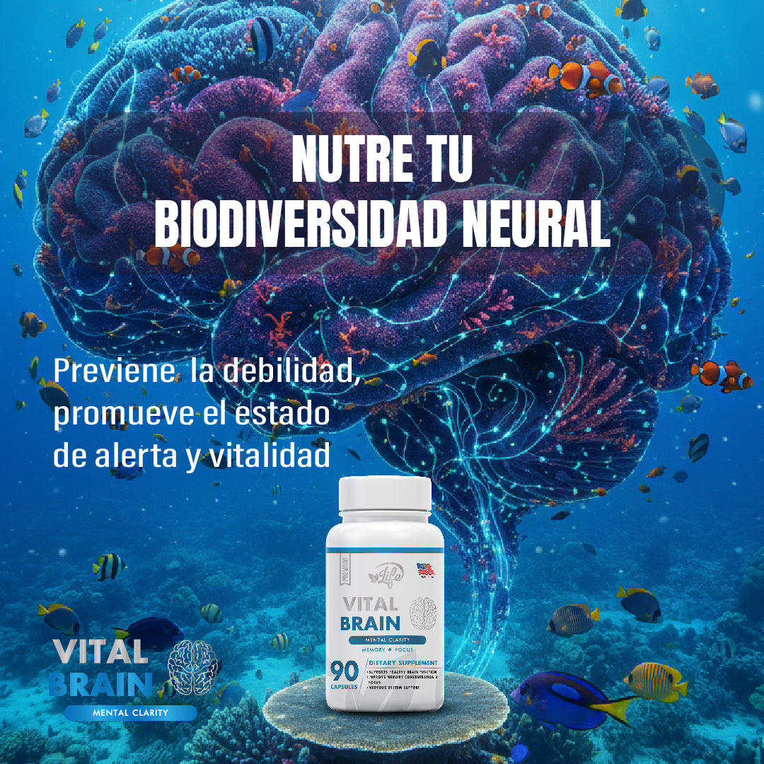 VITAL BRAIN ( VITAMINA PARA EL CEREBRO, ENFOQUE, CONCENTRACIÓN Y MEMORIA)