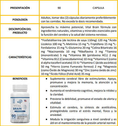 VITAL BRAIN ( VITAMINA PARA EL CEREBRO, ENFOQUE, CONCENTRACIÓN Y MEMORIA)